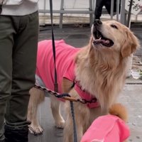 おからちゃんはまだまだ！！