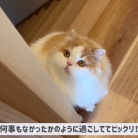 ポテチくんとレモンさんの初対面9