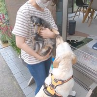 きなこちゃんもココちゃんにご挨拶♪