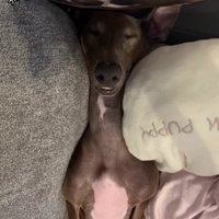 寝姿も独特！？