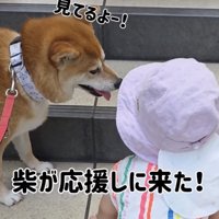優しいお姉ちゃん