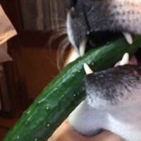嬉しさが伝わる笑顔♡