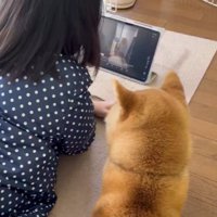 会話