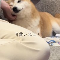 甘えモード全開