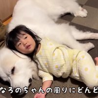 シュシュちゃんに甘えていると…