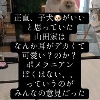 ちょっぴり大きすぎる…