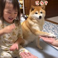 前足を手のひらに置くすずちゃん