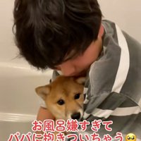 優しいパパ