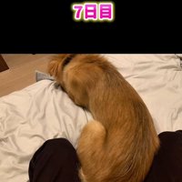 お尻を付けて眠るラッキーくん