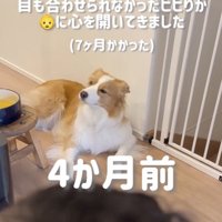 「…」
