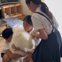 帰宅後のお子さんたちとまる君6