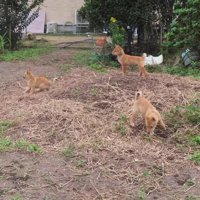 わらわらと集まった先にいたのは…