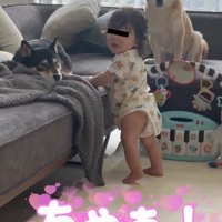 ママの方を見る息子さん