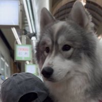 10ヶ月