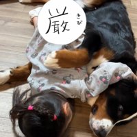 ベルちゃんの名前を呼ぶ娘さん