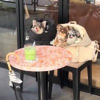 どっちも可愛い♡
