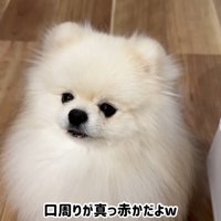 お口がイチゴ色に（笑）