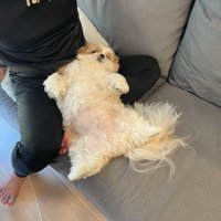 無防備