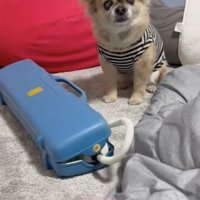 うるうるの瞳でおねだり