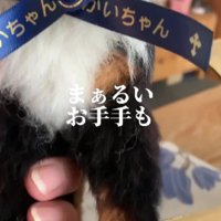 大好きな丸い前足も…