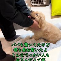 無邪気なかんくろう君