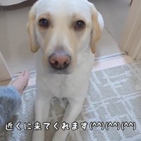 やっぱり来た！