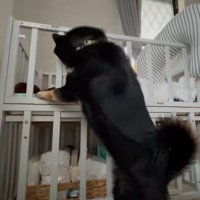 お兄ちゃんのように見守る姿