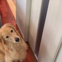 サンちゃんの熱烈歓迎3