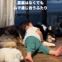 レアちゃんを枕にしてスヤスヤ