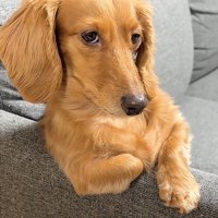 チラ見する凪ちゃん