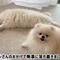 やっと落ち着けたよ♡