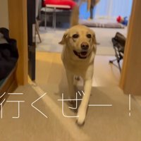 ニコニコでお散歩に出発！
