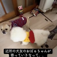 「おじゃましまぁす！」