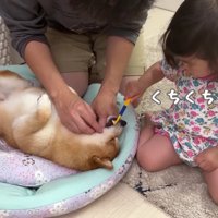 うにくんの歯磨きも