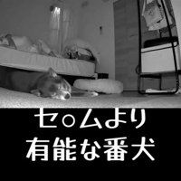 寝返りを打った時のミーシャちゃんの反応