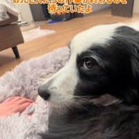 「まだかな…？」