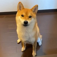 健気に待ち続ける姿が愛おしい！