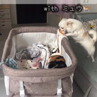 赤ちゃんが泣いた時のニコちゃん