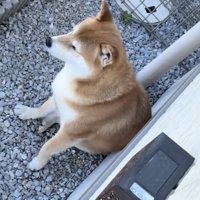 「なんか落ちてるのよ」