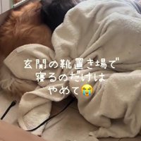 玄関はやめてほしい…！