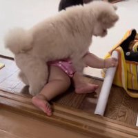 「これは僕の！！」