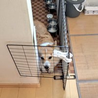 動けない