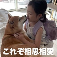 「いってらっしゃい」と優しくペロペロ