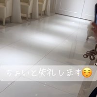 参列席に近づく犬