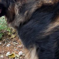 お散歩していたら…