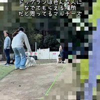 飼い主さんを見つけたおもちくん