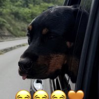 疲れたけど、風は感じたい