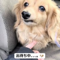 「まだ出てこないの？」