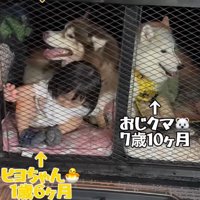 ドッグスペースに避難！