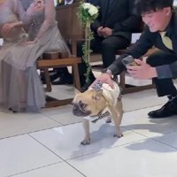 弟さんが誘導して…